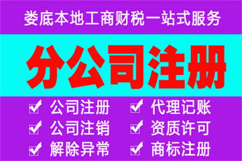 婁星區(qū)分公司注冊與代理記賬服務的類別解析及優(yōu)惠報價
