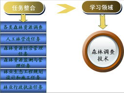 森林調查技術精品課程網站——歡迎您的光臨